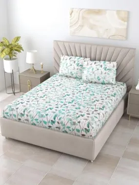 Bombay Dyeing Fiesta 100% Combed Cotton with Mercerarised Finish King Bedsheet with 2 Pillow Cover (Sea Green)