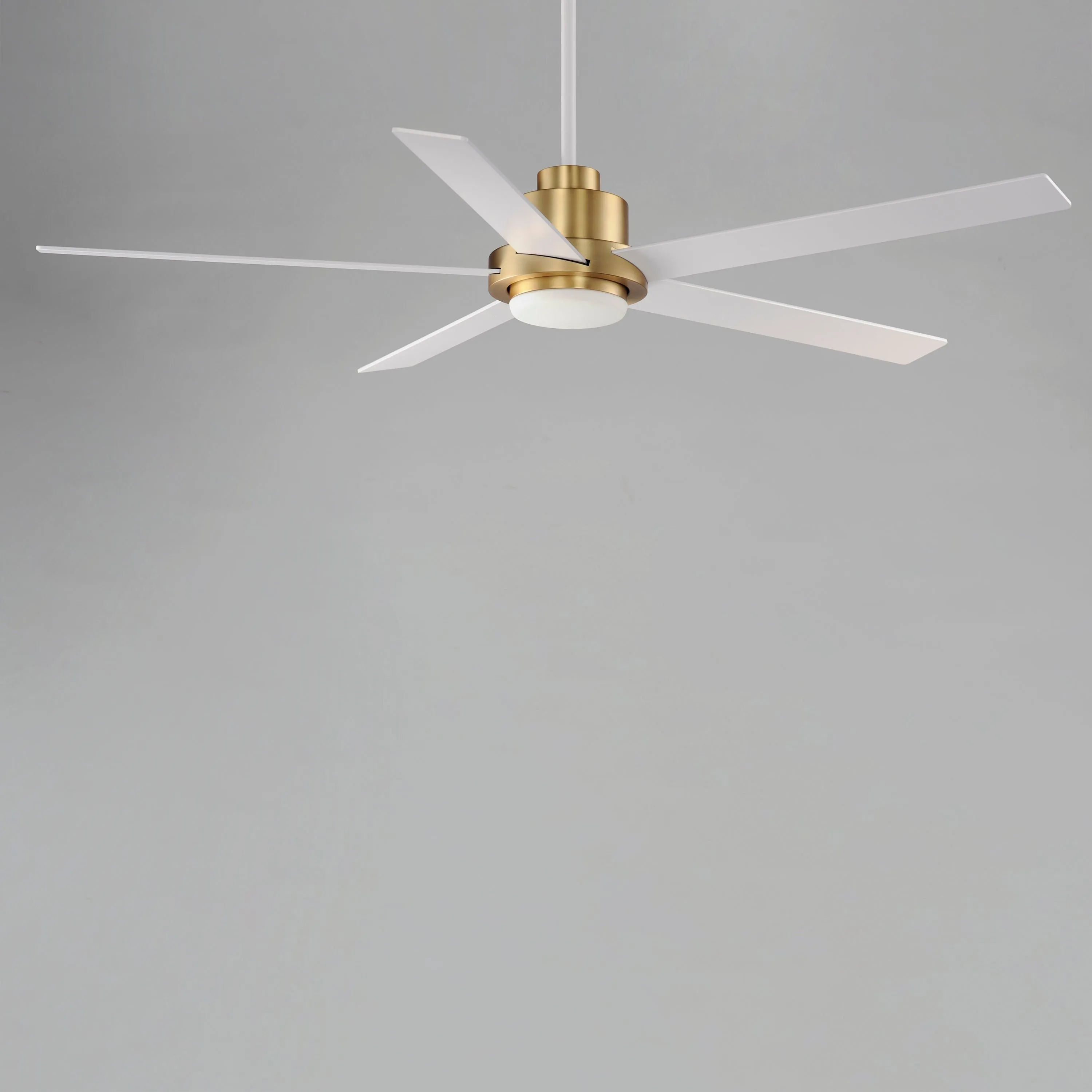 Daisy 60" 5-Blade Fan with LED Light Kit