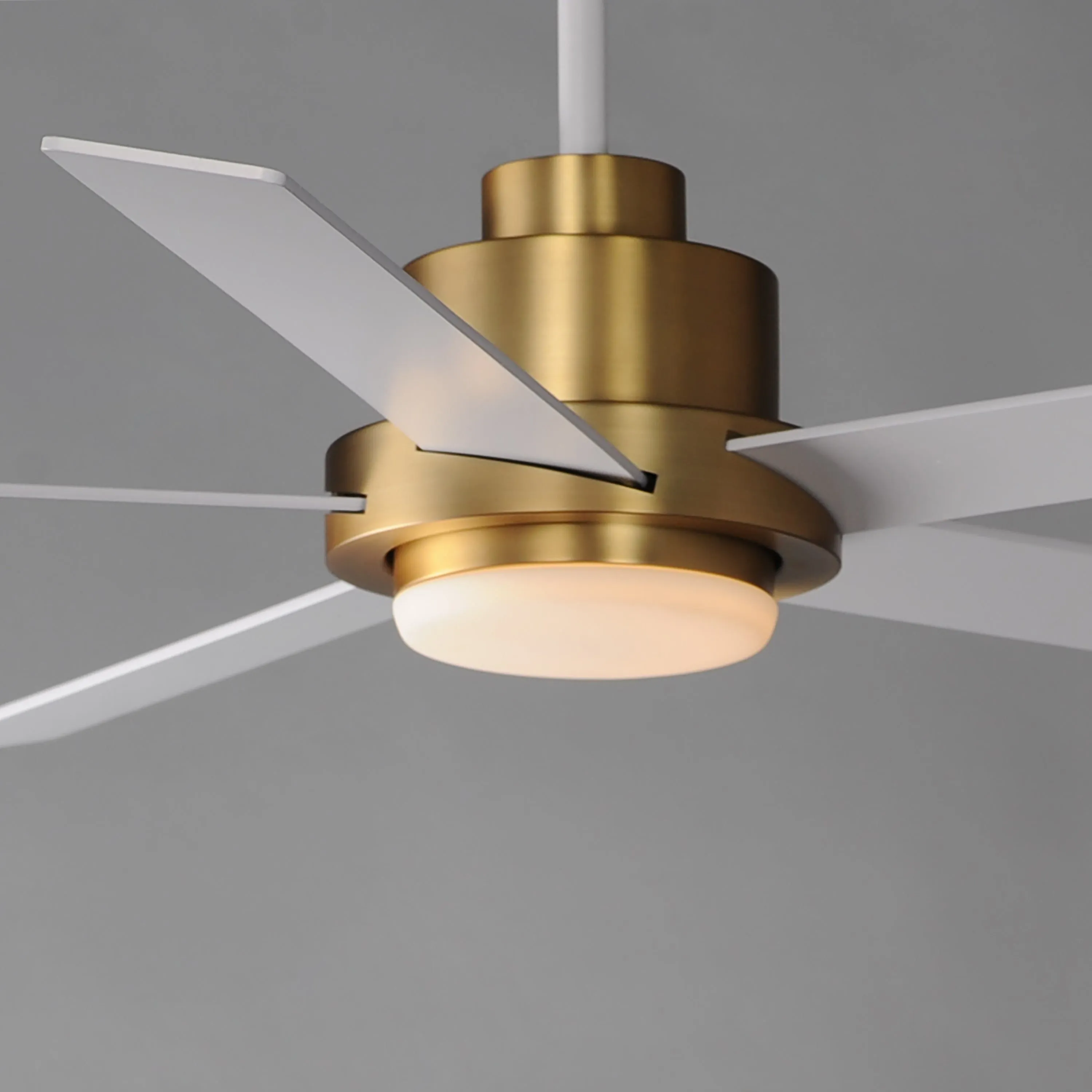 Daisy 60" 5-Blade Fan with LED Light Kit