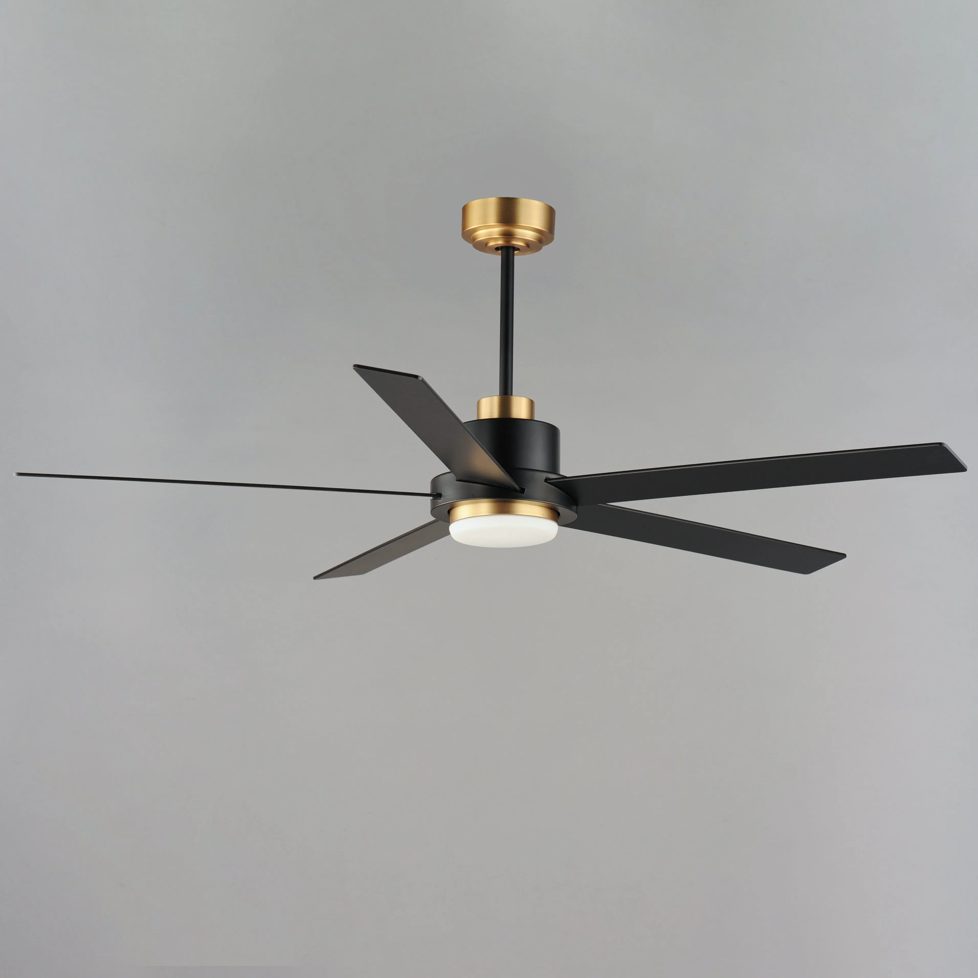 Daisy 60" 5-Blade Fan with LED Light Kit