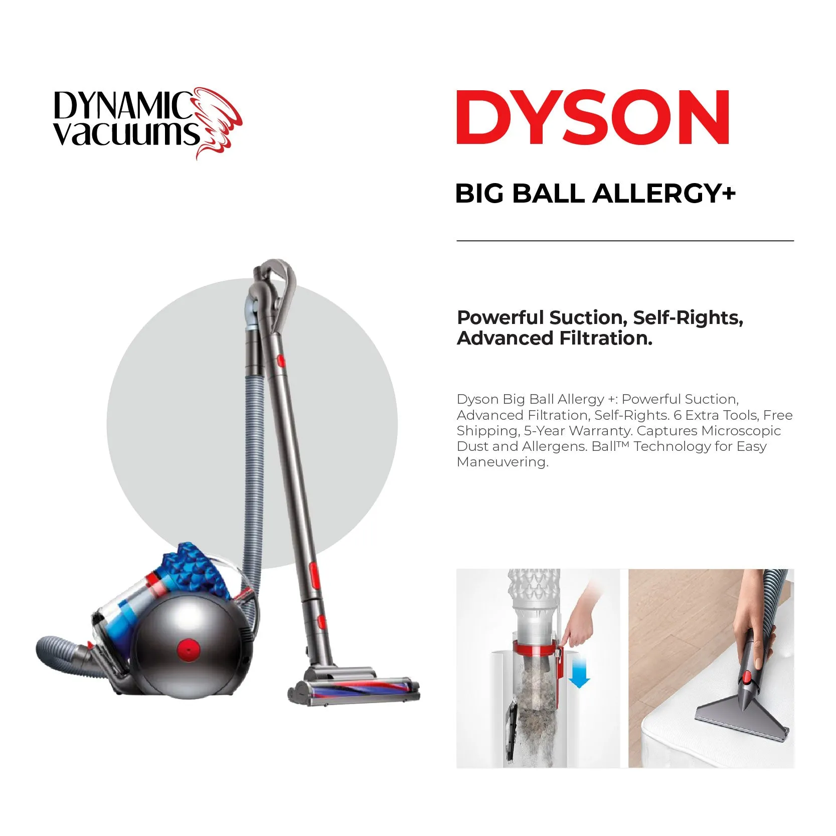 Dyson Big Ball Allergy 