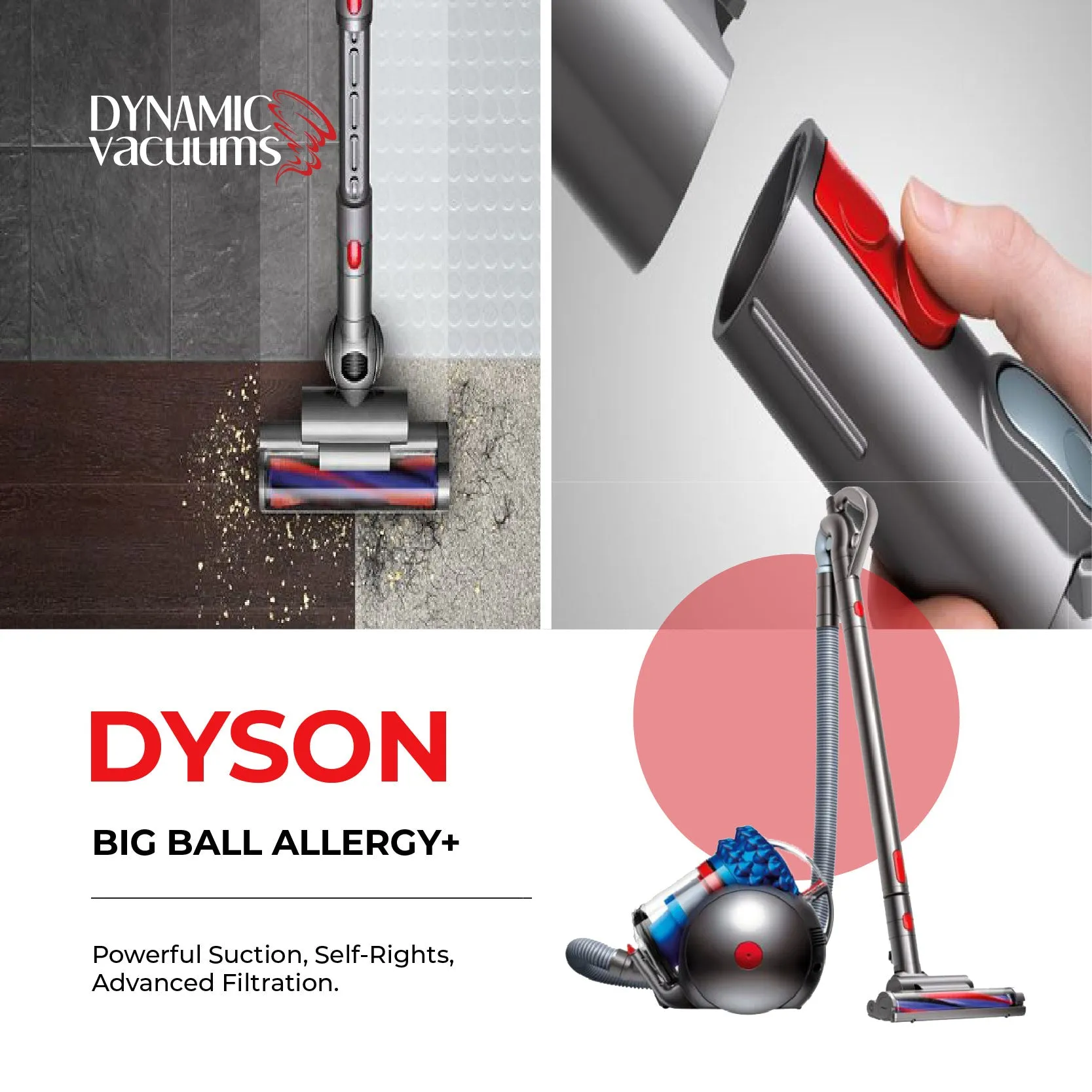 Dyson Big Ball Allergy 