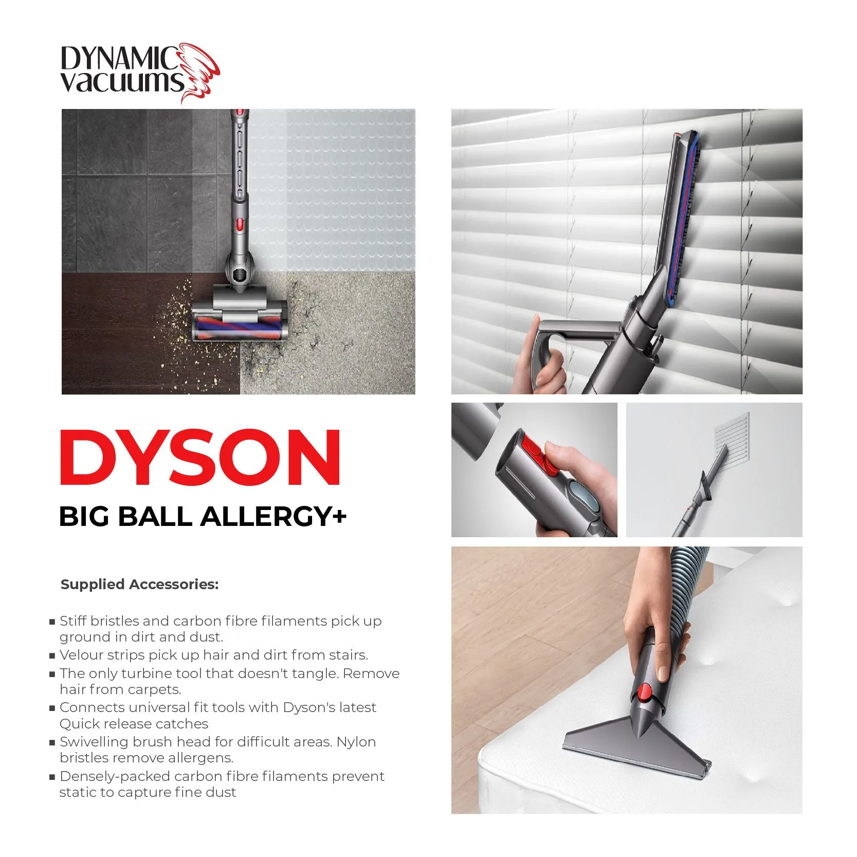 Dyson Big Ball Allergy 