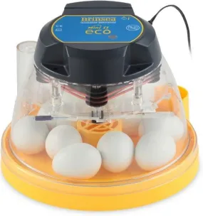 INCUBATOR MINI 2 ECO