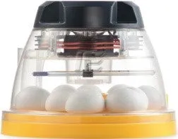 INCUBATOR MINI 2 ECO