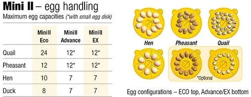 INCUBATOR MINI 2 ECO