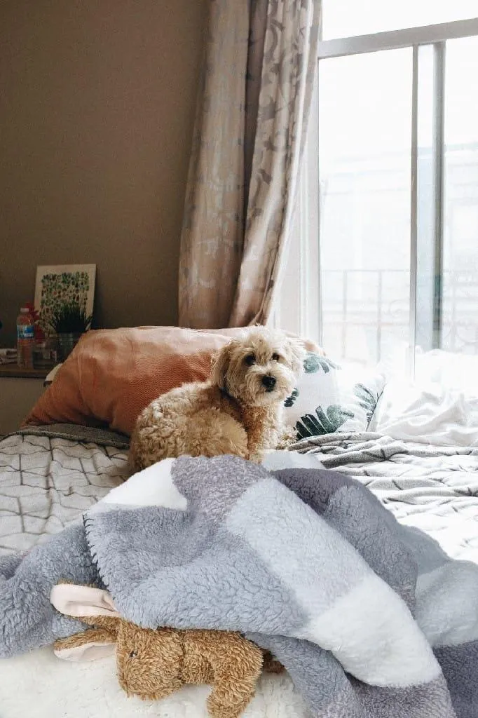 Personalised dog blanket, buffalo plaid in blue and grey