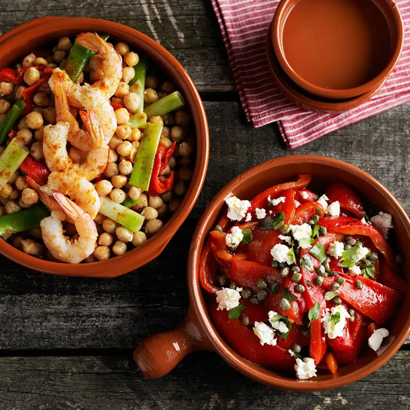 Spanish Terracotta Frying Pans - 4 sizes